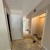 Southern Precision Painting LLC ico