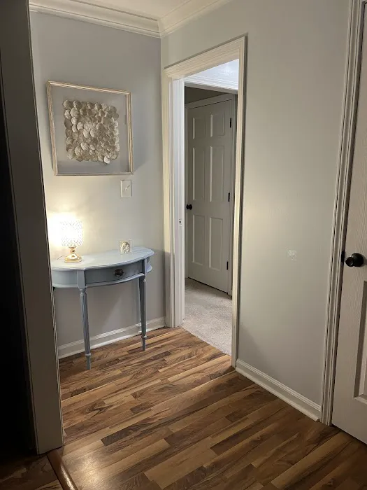 Southern Precision Painting LLC Picture 5