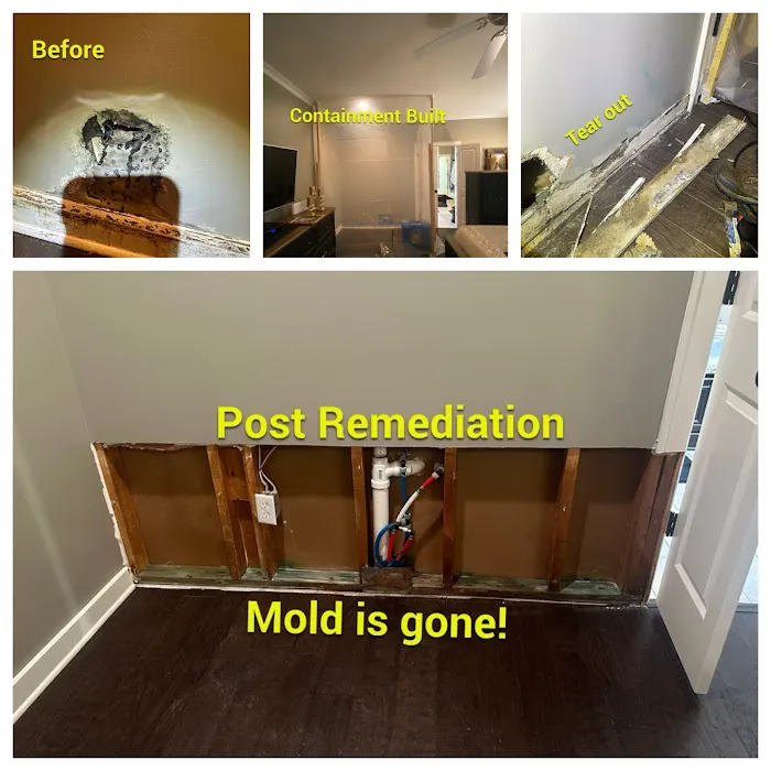 Defender Water & Mold Restoration Picture 2