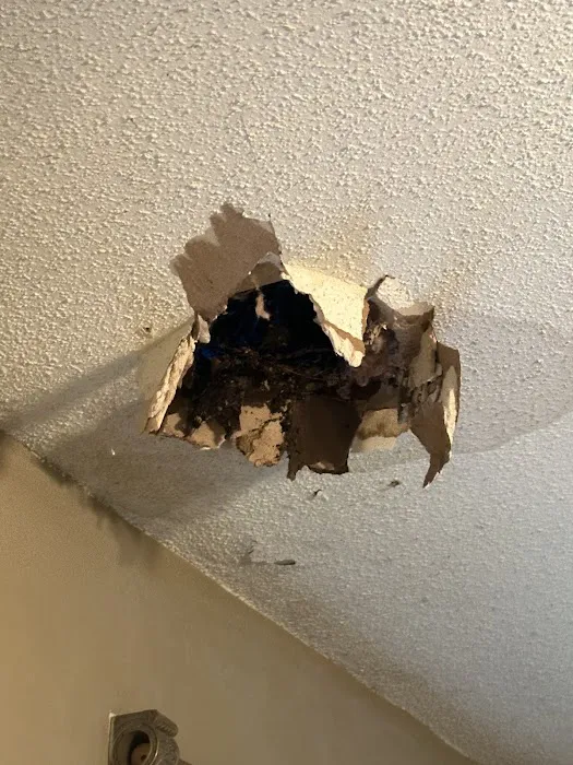 Defender Water & Mold Restoration Picture 6