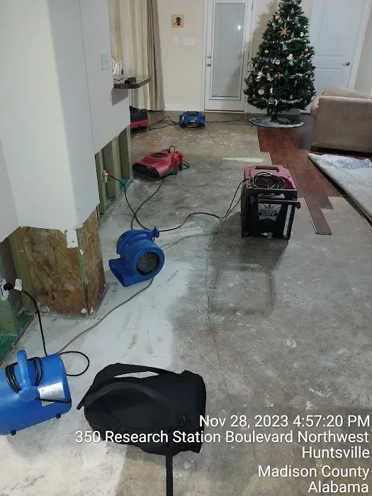 Rick-N-Ball Restoration Picture 2