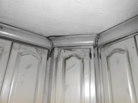 Rocket City Restoration, Inc. Picture 1