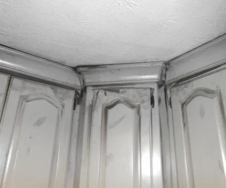 Rocket City Restoration, Inc.