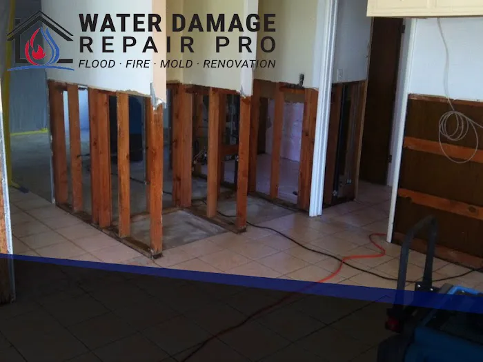 Water Damage Repair Pro Picture 1