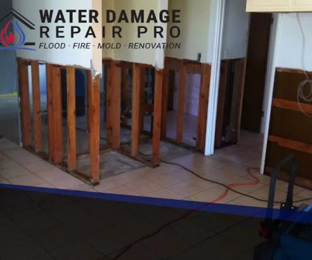 Water Damage Repair Pro