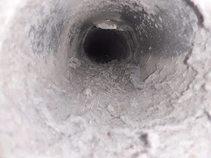 Stanley Steemer Picture 10