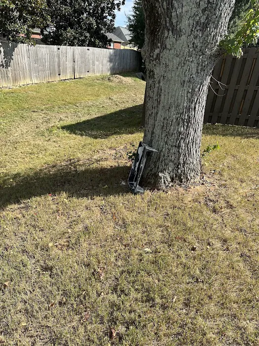 Apex Restoration DKI Picture 8