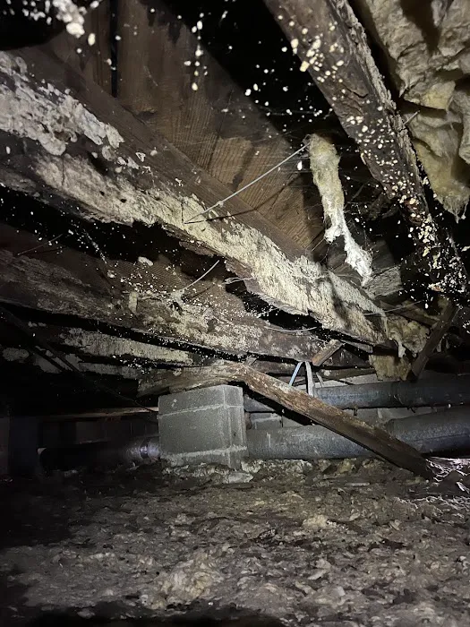 Crawlspace Medic of Huntsville Picture 4