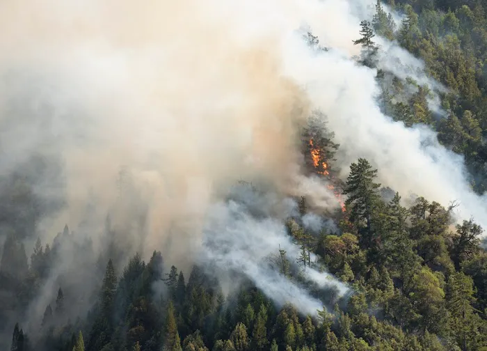 Red Mountain Smoke Damage Experts Picture 1