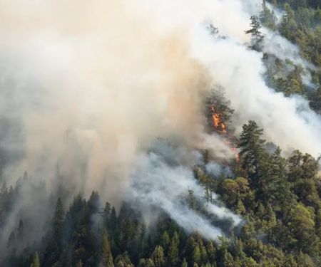 Red Mountain Smoke Damage Experts