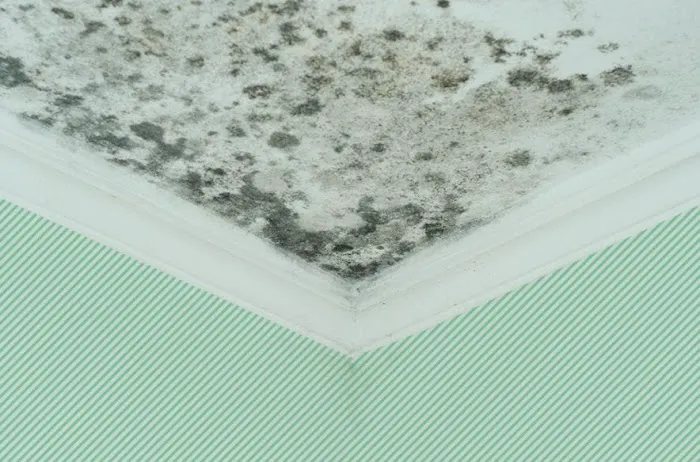 BioClean, LLC Picture 3