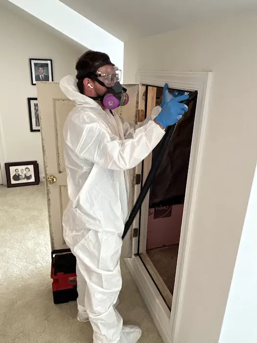 Restoration 1 of Birmingham Picture 3