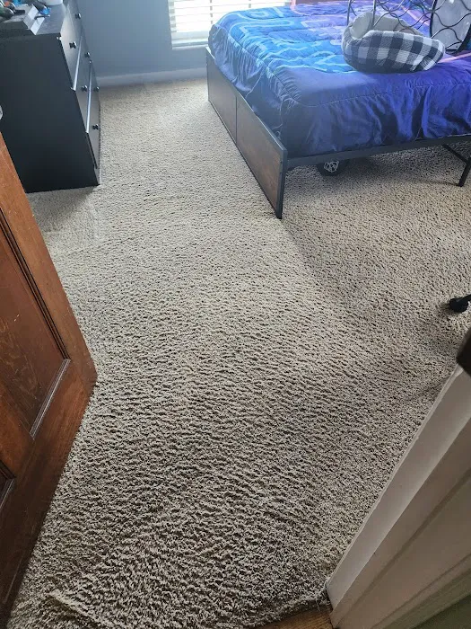 Stanley Steemer Picture 2