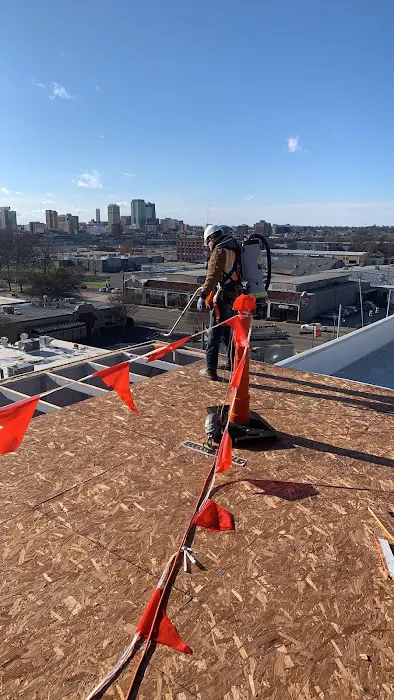 Royal Restoration Picture 2