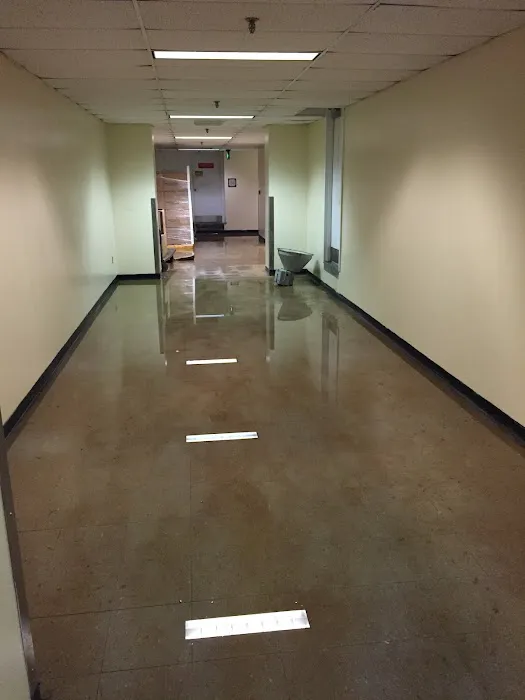 Royal Restoration Picture 1