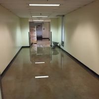 Royal Restoration ico