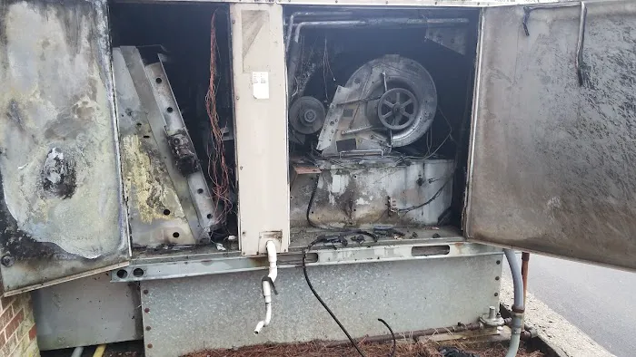 Royal Restoration Picture 8