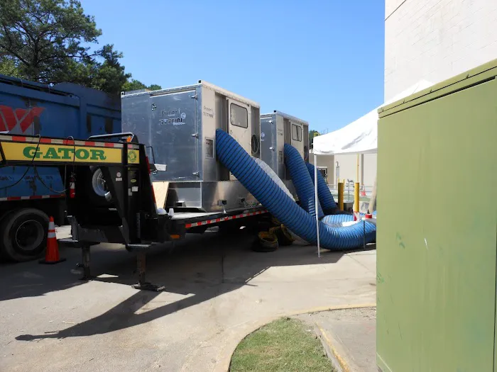 Royal Restoration Picture 6