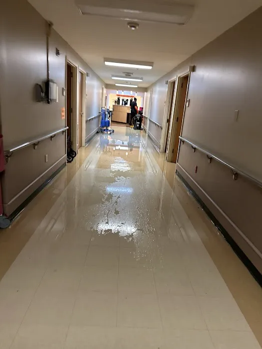 Green Valley Restoration Picture 7