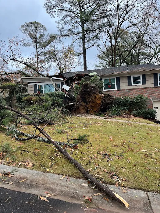 Green Valley Restoration Picture 4