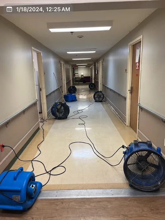 Green Valley Restoration Picture 8