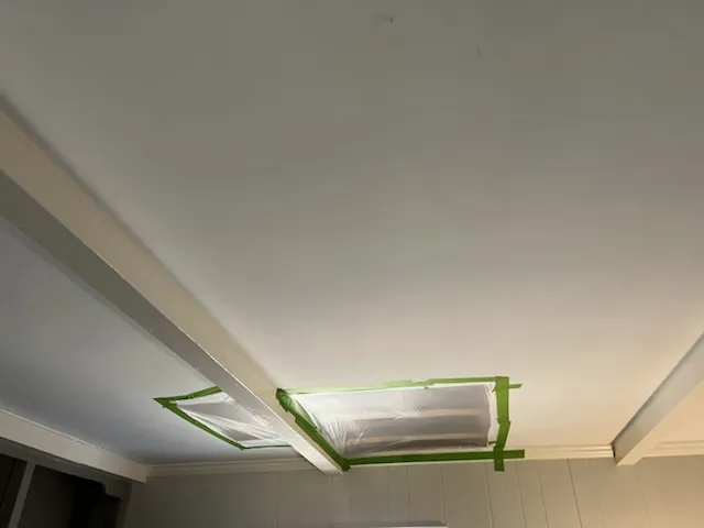 Green Valley Restoration Picture 5