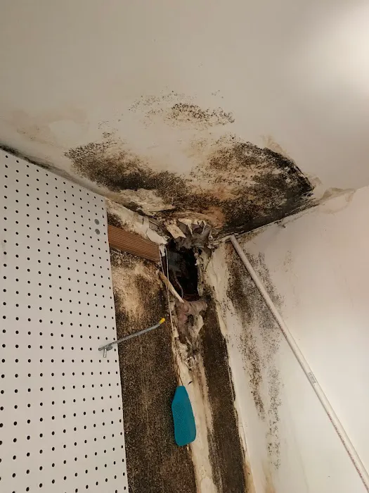 Green Valley Restoration Picture 9