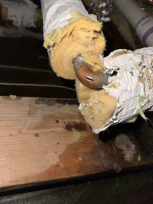 Green Valley Restoration Picture 10