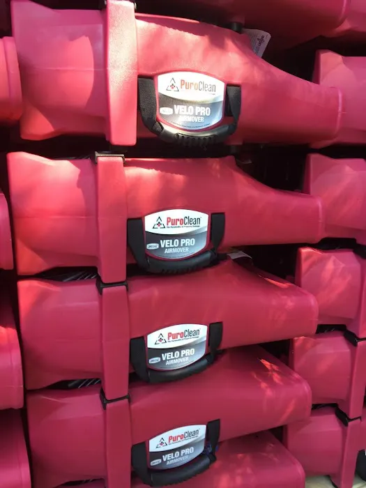 PuroClean of Homewood Picture 6