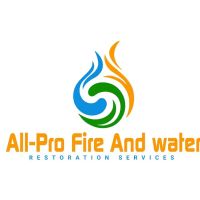 All-Pro Fire and Water ico