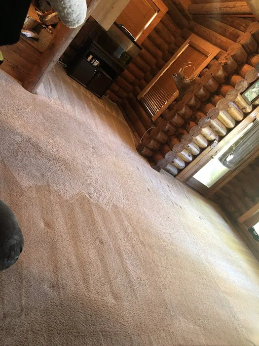 Turman Carpet & Cleaning Service Picture 3