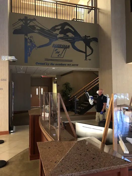 Nano Environmental Solutions Habersham Picture 1