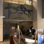 Nano Environmental Solutions Habersham