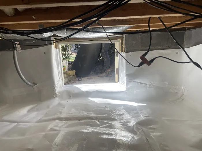 Discount Crawl Space Picture 9