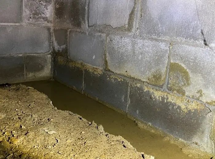 Ox Foundation Solutions Picture 4