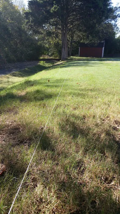 Go For Greatness Painting Picture 5