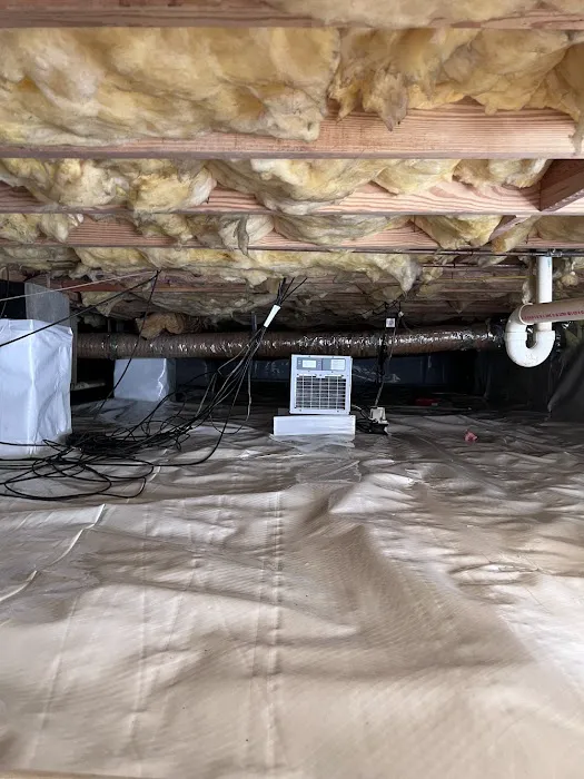 Ox Foundation Solutions Picture 3