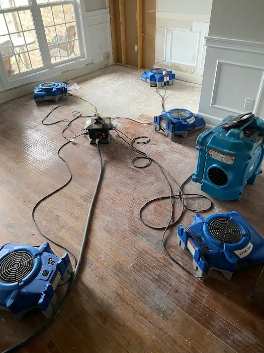 Special Touch Restoration Picture 3