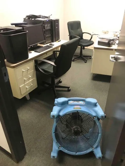 Special Touch Restoration Picture 4