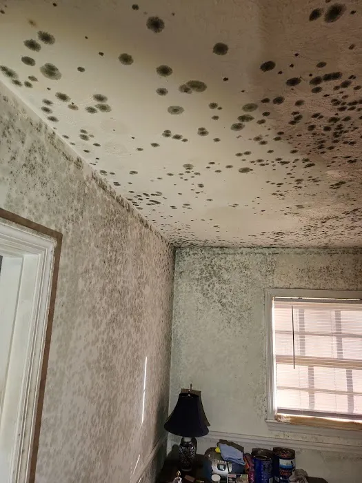 DEC Fire & Water Restoration of North Alabama Picture 6