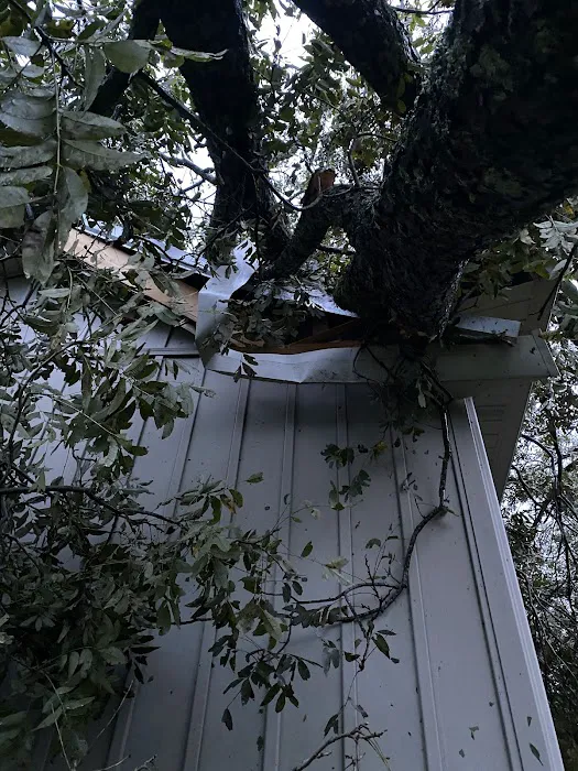 DynoDry Roofing & Construction Services Picture 1