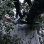 DynoDry Roofing & Construction Services