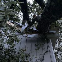 DynoDry Roofing & Construction Services ico