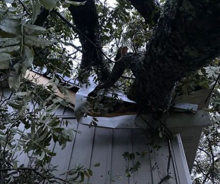 DynoDry Roofing & Construction Services