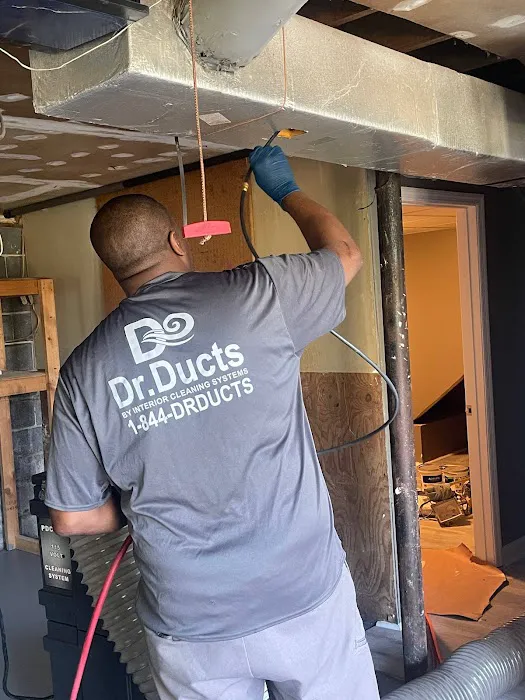 Interior Cleaning Systems Picture 3