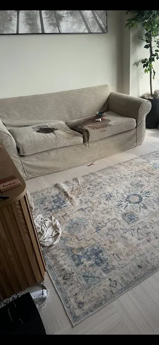 Interior Cleaning Systems Picture 5