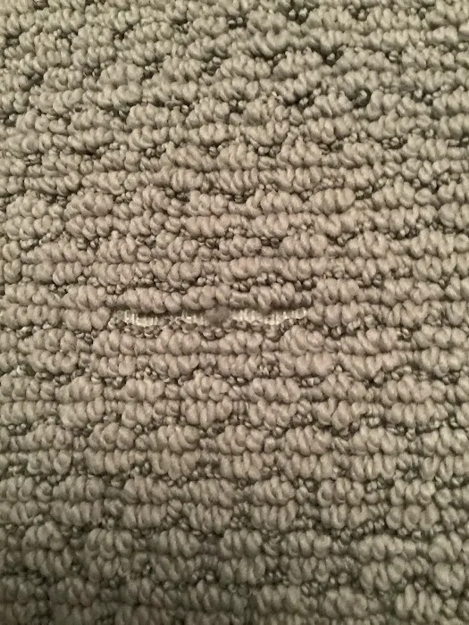 Arcus Restoration Picture 9