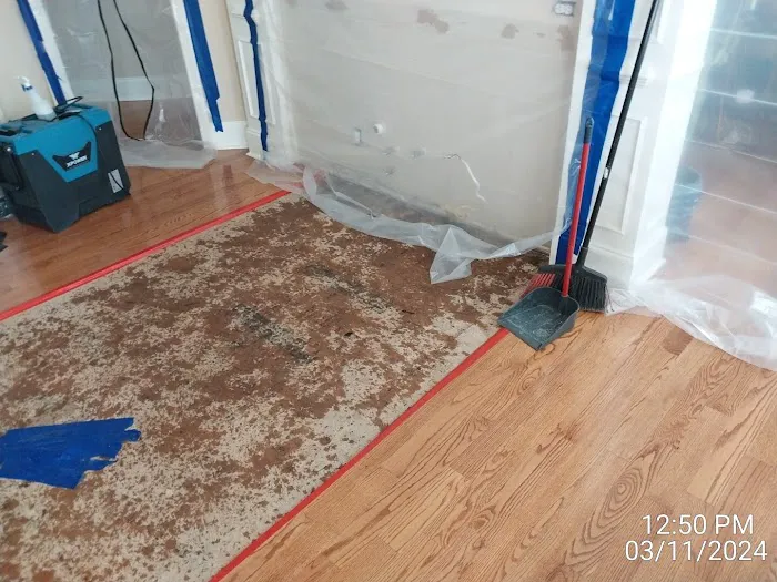 Dryve Restoration Picture 5