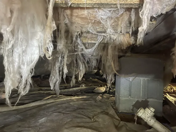 AdvantaClean of Chattanooga Picture 7