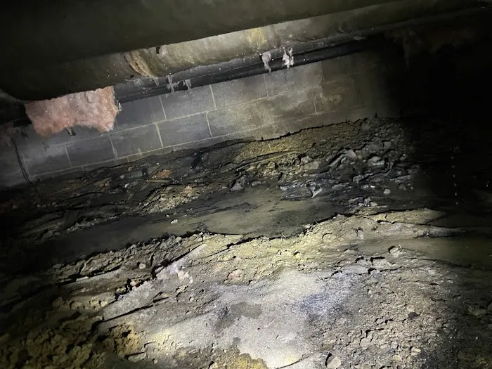 Flood & Fire Pros Picture 3